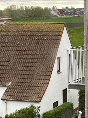 Bed and Breakfast The Pipers Middelkerke Exterior foto